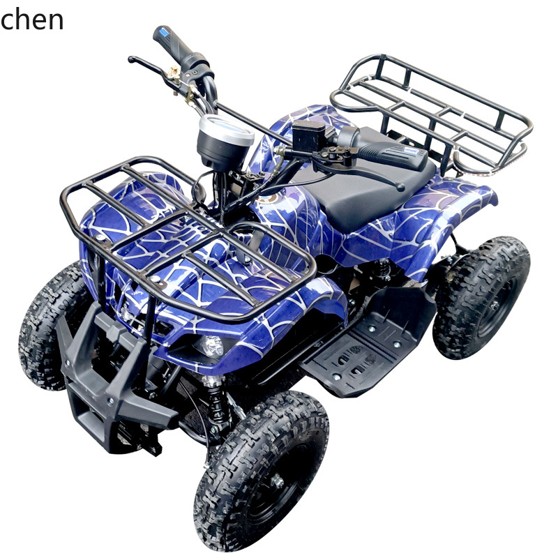 Mountain Biking Rental - HTT Mini Electric ATV Small Double